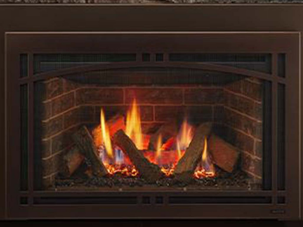 Majestic Ruby 25 Direct Vent Gas Insert