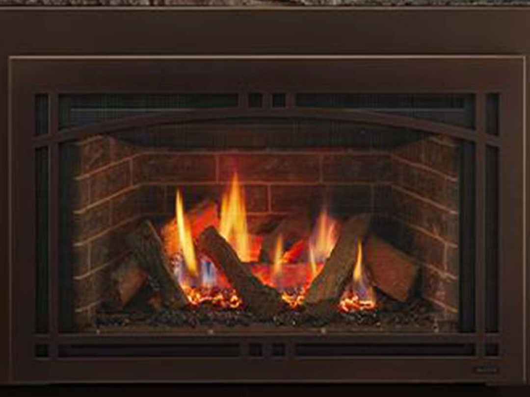 Majestic Ruby 25 Direct Vent Gas Insert